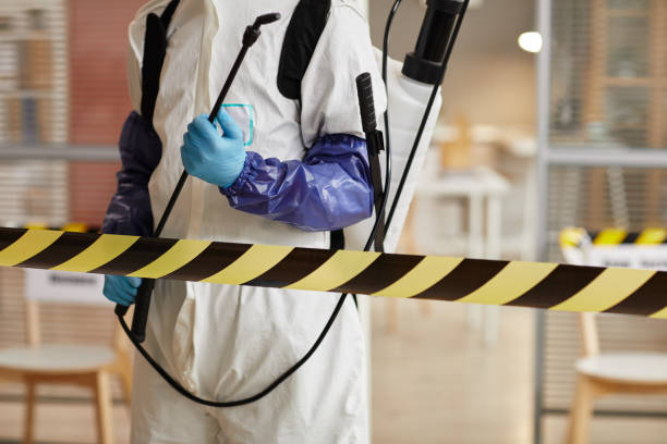 Professional Sewage Cleanup technician working in Livermore, CO